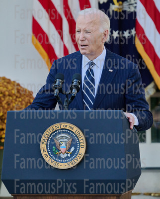 President Joe Biden