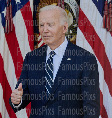 President Joe Biden