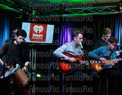 Wild Cub